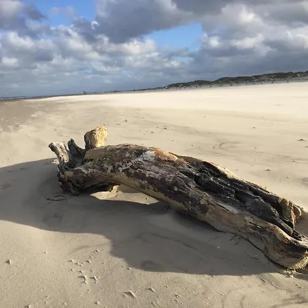 Lägenhet Residenz Amrum *strand Residenz 9* *